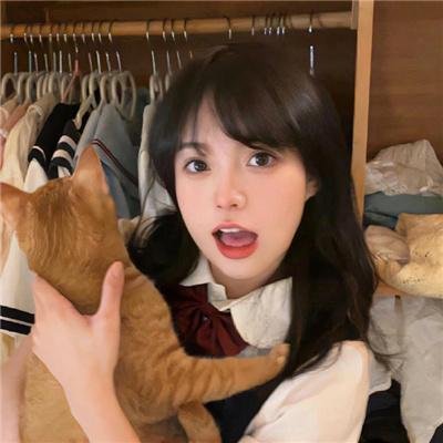 猫老大